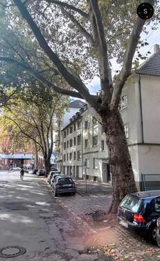 Foto - Gemütliche Dachgeschosswohnung in zentraler Lage