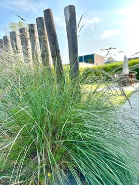 Foto - andere in Goch zur Miete