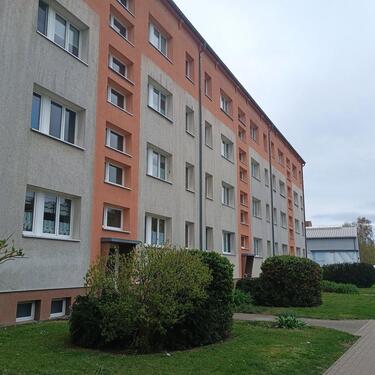 Foto - Etagenwohnung in Greifswald zur Miete