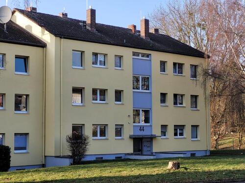 Foto - 3 Zimmer Erdgeschoßwohnung zur Miete in Alsfeld