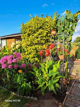 Foto - Grundst&uuml;ck zur Miete in Brandenburg an der Havel