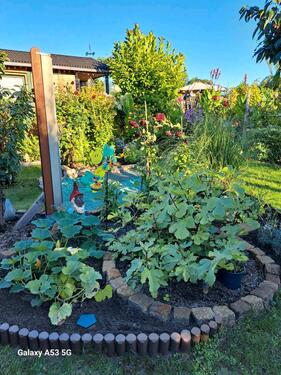 Foto - Grundst&uuml;ck in Brandenburg an der Havel