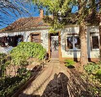 Einfamilienhaus mit Einliegerwohnung -Sanierungsbedürftig- - Hauenstein