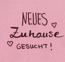 Wohnungsgesuch - 800,00 EUR Kaltmiete, ca. 60,00 m² in Köln (PLZ: 51067) Mülheim Wohnungsgesuch - 800,00 EUR Kaltmiete, ca. 60,00 m² in Köln (PLZ: 51067) Mülheim