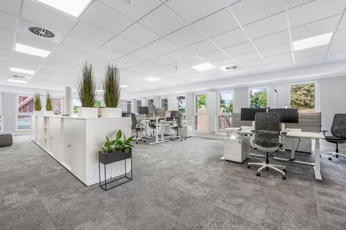 Foto - andere in Lingen (Ems) zur Miete