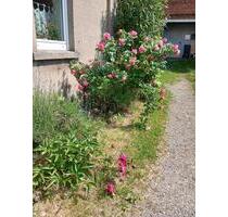 Wohnen in Garten- und Hausprojekt - Wennigsen (Deister)