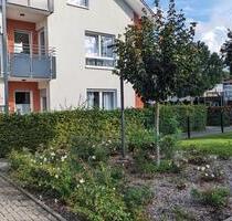 Moderne 4ZKBB-Wohnung im Zentrum Willebadessens