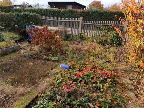 Foto - Grundst&uuml;ck zur Miete in Burgstädt