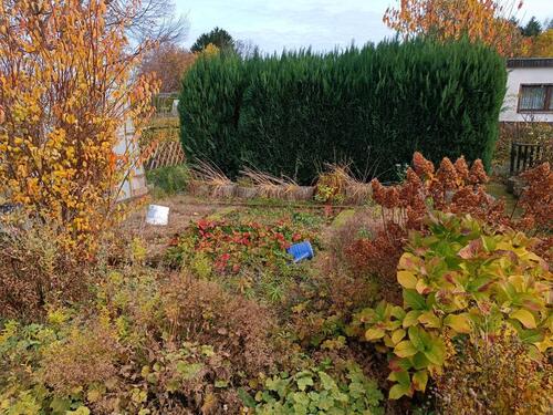 Foto - Grundst&uuml;ck in Burgstädt zur Miete