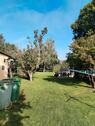 Foto - Einfamilienhaus in Südharz