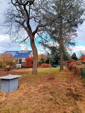 Foto - Mehrfamilienhaus, Wohnhaus zum Kaufen in Berlin