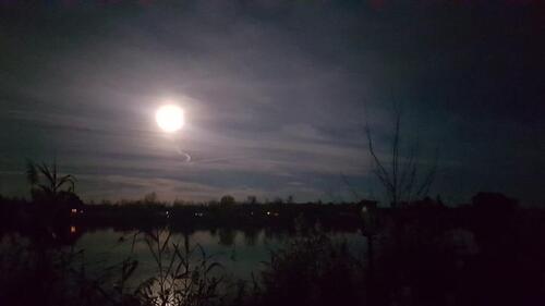 Foto - Bungalow in Osternienburger Land zum Kaufen