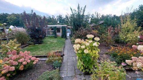 Foto - ❤️ Gepflegter Kleingarten Pachtgarten in Freiberg abzugeben