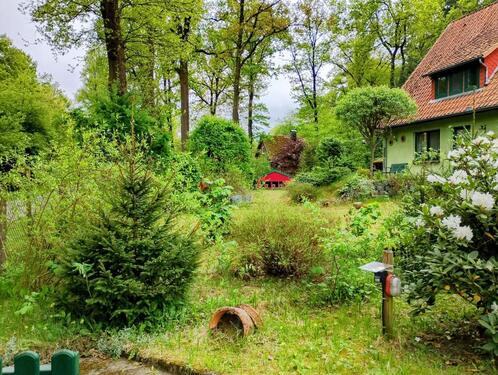 Foto - 6 Zimmer Einfamilienhaus zum Kaufen in Suderburg