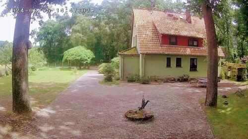 Foto - Einfamilienhaus in Suderburg zum Kaufen