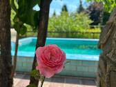 Foto - Ein Zuhause mit Urlaubsgefühl: Einfamilienhaus in Mahlsdorf