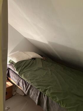 Foto - Etagenwohnung in München zur Miete