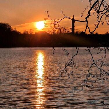 Foto - andere in Königs Wusterhausen zur Miete