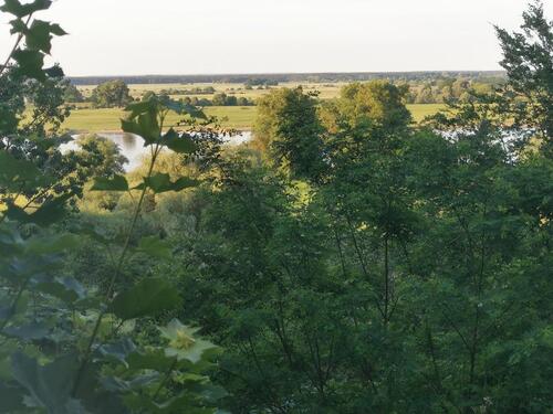 Foto - Pusteblume - 900,00&nbsp;EUR Kaltmiete, ca.&nbsp; 79,49&nbsp;m&sup2;