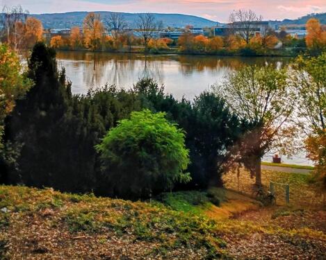 Foto - Gemütliche 1-Zimmer-Wohnung mit Moselblick er