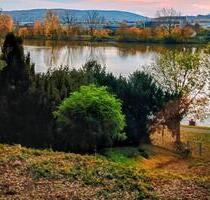 Gemütliche 1-Zimmer-Wohnung mit Moselblick er - Wallerfangen