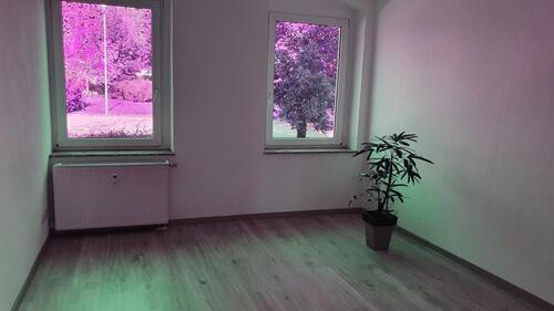 Foto - Etagenwohnung in Hohenstein-Ernstthal