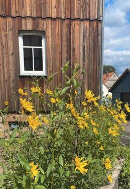 Foto - Etagenwohnung in Kirtorf