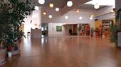 Foto - Yoga Raum, Spiegel Raum, Seminar, Workshop, Therapie, Tanz Raum