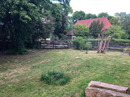 Foto - Einfamilienhaus zur Miete in Bleckede
