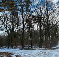 Waldgrundstücke - 2,00&nbsp;EUR Kaltmiete, ca.&nbsp; 0,00&nbsp;m&sup2; in Klötze (PLZ: 38486)