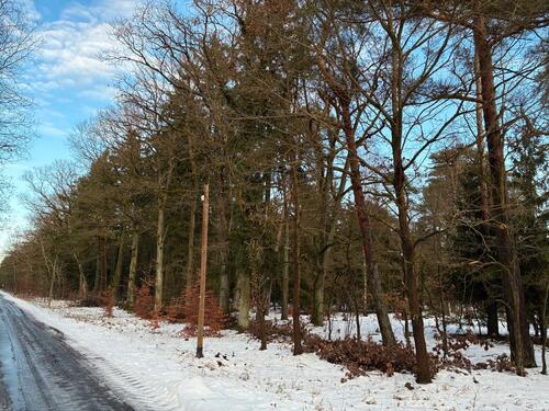 Foto - Grundst&uuml;ck in Klötze zur Miete