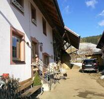 Wohnung zur Zwischenmiete auf Bauernhof - Häg-Ehrsberg