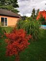 Foto - Charmanter Bungalow mit Garten, Pool und viel Privatspäre