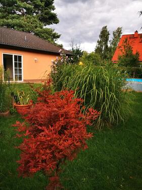 Foto - Charmanter Bungalow mit Garten, Pool und viel Privatspäre