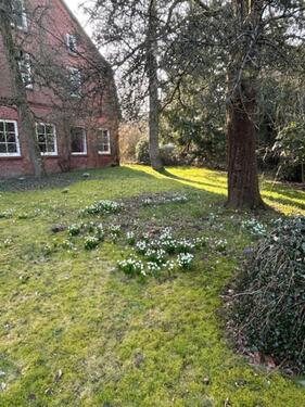 Foto - 7 Zimmer Einfamilienhaus in Todesfelde