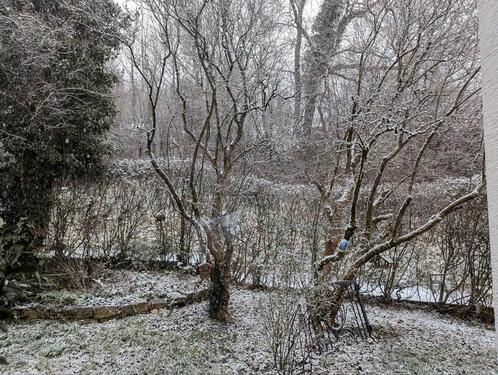 Foto - Biete ab sofort 2,5 Zi Whg für 2 Monate in Bad zur Zwischenmiete