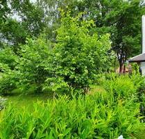 Kleine Holzhütte mit Garten - 200,00 EUR Kaltmiete, ca.  0,00 m² in Wedemark (PLZ: 30900)
