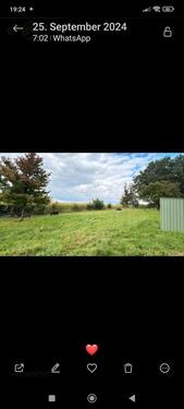 Foto - Wiese als Hundefreilauf bzw Spielwiese