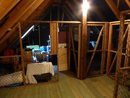 Foto - Etagenwohnung in Heide zur Miete