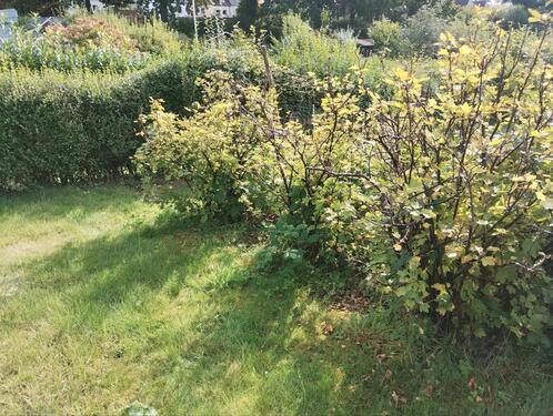 Foto - Grundst&uuml;ck in Schwentinental zur Miete