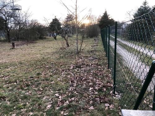 Foto - Grundst&uuml;ck in Cottbus zur Miete