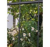 Praxisräume - 90,00 EUR Kaltmiete, in Niddatal (PLZ: 61194)