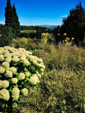 Foto - 4 Zimmer Erdgeschoßwohnung in Friedrichshafen