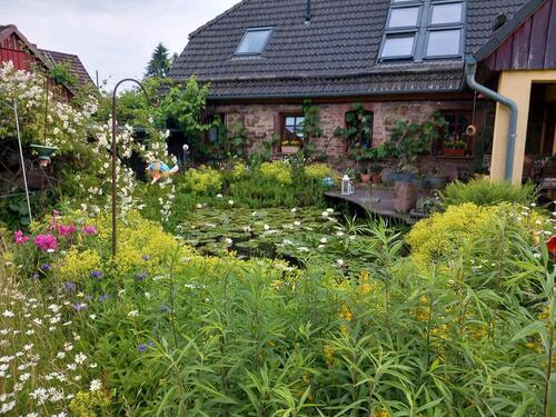 Foto - Einfamilienhaus in Holzminden zum Kaufen