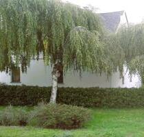 Haus zur Miete in Seenähe bei Senftenberg - Ruhland