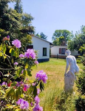 Foto - 4 Zimmer Einfamilienhaus zur Miete in Ruhland