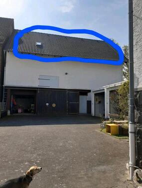 Foto - andere in Staufenberg