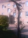 Foto - 3-Raum-Wohnung in ländlicher Umgebung von Staucha