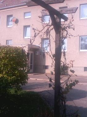 Foto - 3-Raum-Wohnung in ländlicher Umgebung von Staucha