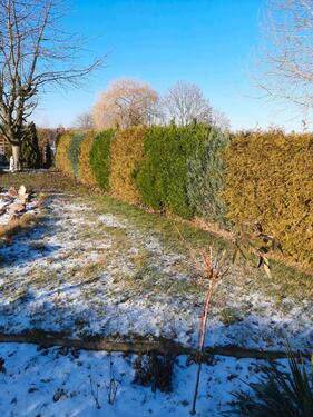 Foto - Garten zur Pacht in rackwitz - 1.480,00&nbsp;EUR Kaltmiete, ca.&nbsp; 0,00&nbsp;m&sup2;